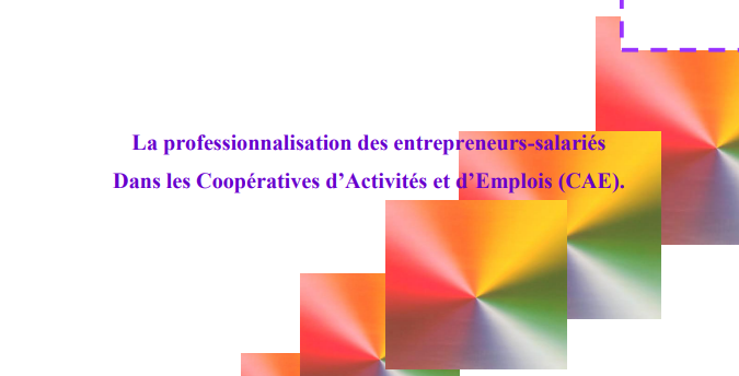 Mémoire “La professionnalisation des entrepreneurs-salariés dans les CAE” – Isabelle Theet